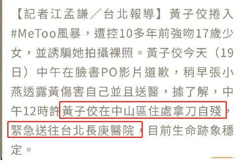 台湾葛思琪爆料视频大全,揭秘台湾娱乐圈幕后真相  第1张
